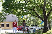 Sveriges-Nationaldag-2010